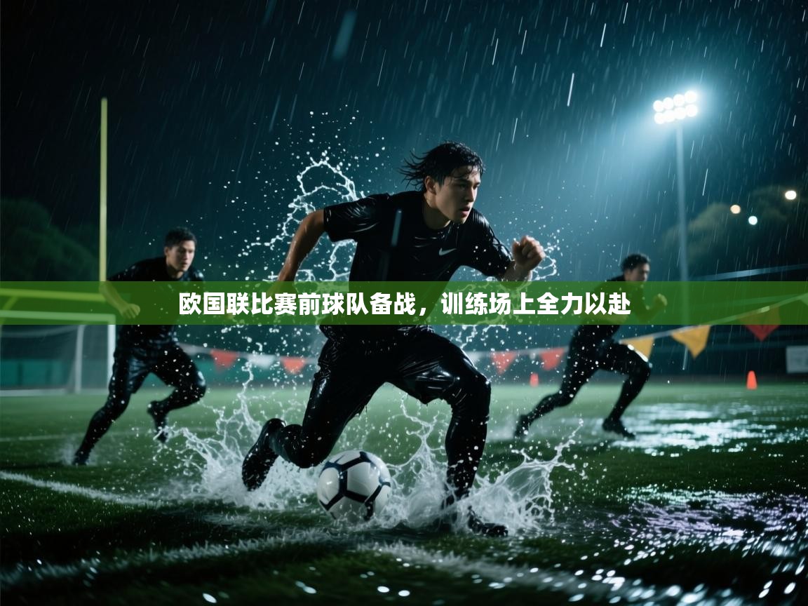 欧国联比赛前球队备战，训练场上全力以赴  第2张