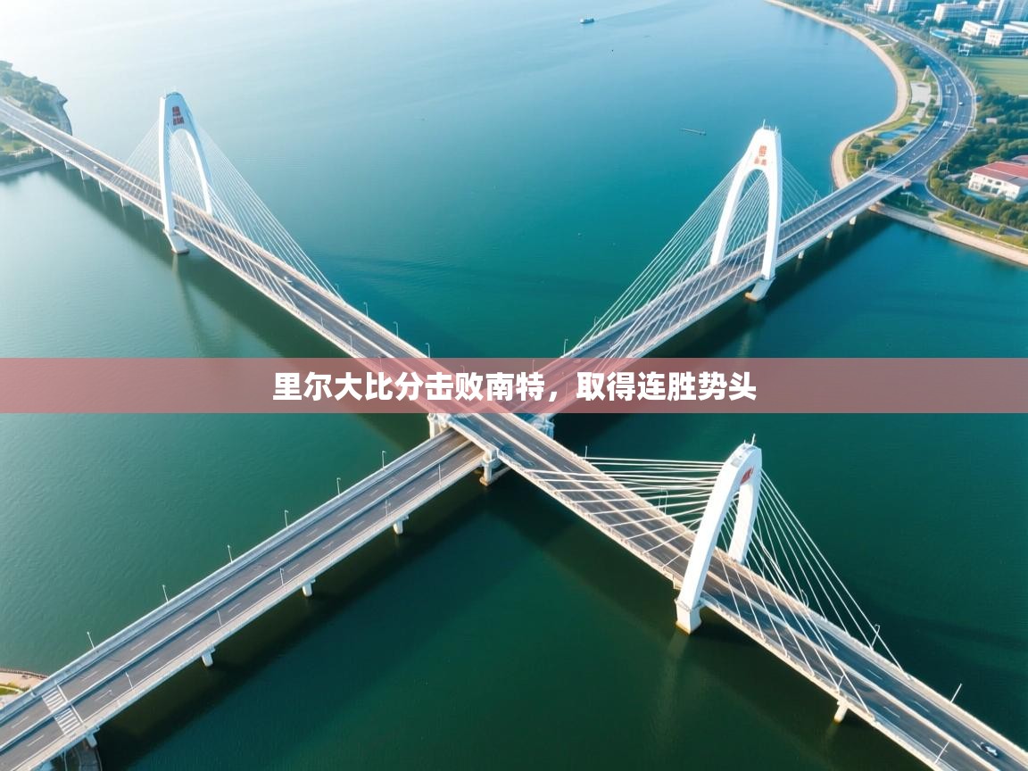 里尔大比分击败南特，取得连胜势头  第1张