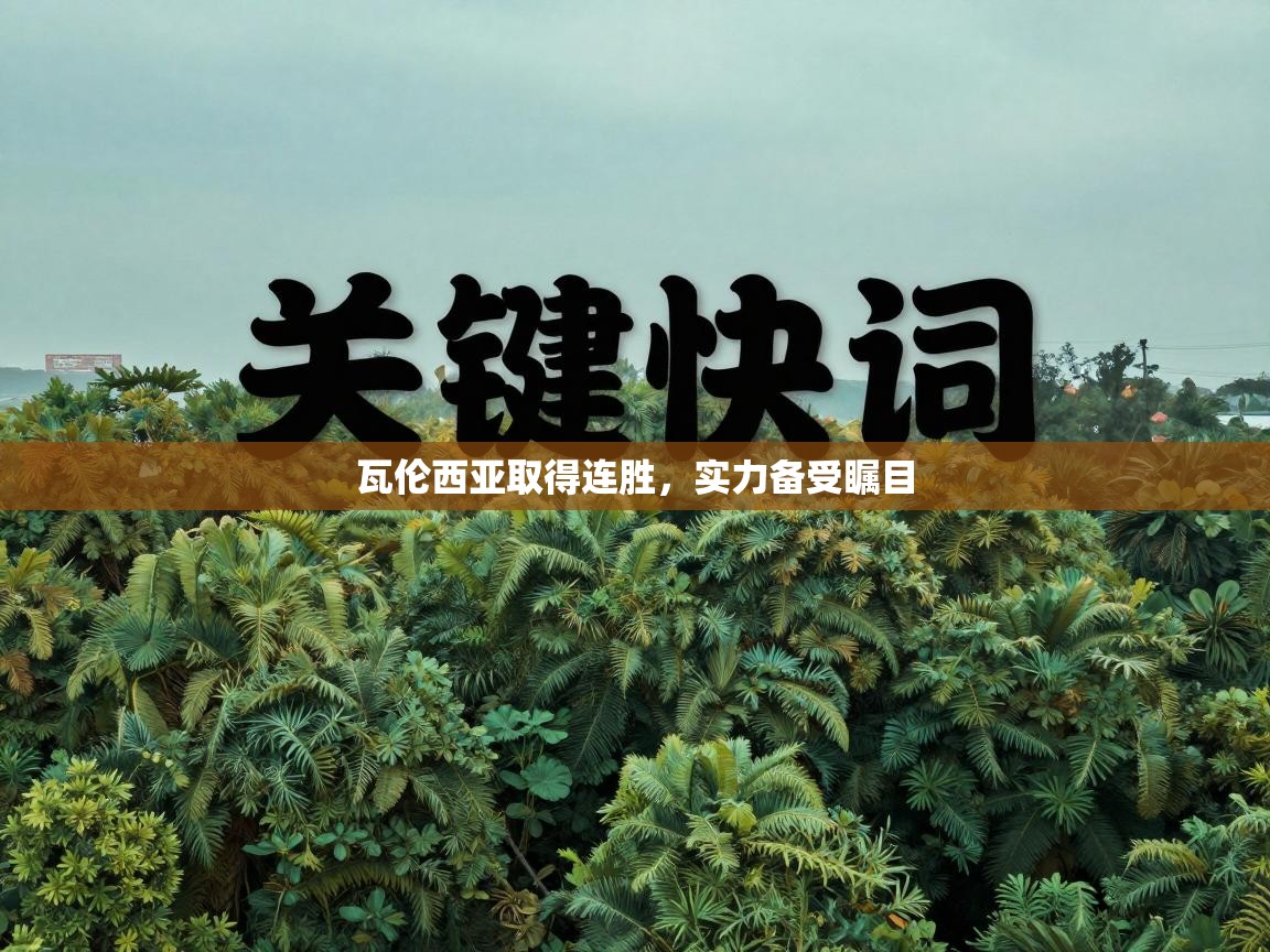 瓦伦西亚取得连胜，实力备受瞩目  第2张